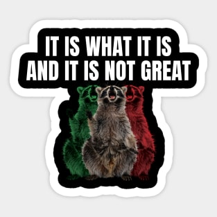 It Is What It Is And It Is Not Great Funny Raccoon Sticker